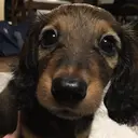 TRU りののプロフィール画像