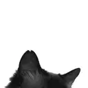 eye mor. 西尾店 高木のプロフィール画像