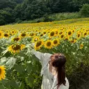 seek／ kotoha🌻🌈のプロフィール画像