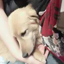 須崎 帆南のプロフィール画像