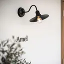 Amel hairのプロフィール画像