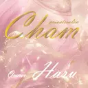 Cham はるのプロフィール画像