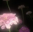 牧山 ノアのプロフィール画像