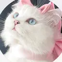 🫧salon Ré🫧のプロフィール画像