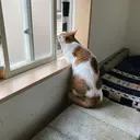 林 一美のプロフィール画像