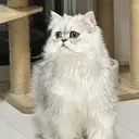 チョウ ウヨウのプロフィール画像
