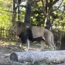 山崎 聖子のプロフィール画像