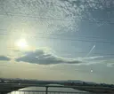 橋本 麻衣のプロフィール画像