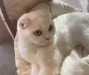 今村 詩のプロフィール画像