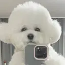 モデル募集中🫧 Yuunaのプロフィール画像