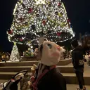 似合わせカラー✩.* ハイトーン/リナのプロフィール画像