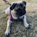 bloom印西店 真衣のプロフィール画像