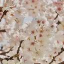 菊池 瞳のプロフィール画像