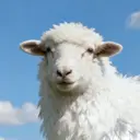 🎀 KiKi_nailのプロフィール画像