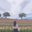 Unefleur Natsumiのプロフィール画像