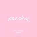 イメージコンサル サロンpeachy.のプロフィール画像