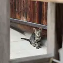 ネイルスクールW.. ｋｉｎａのプロフィール画像