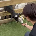 飯田 雷晟のプロフィール画像