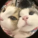 Jewel. mimoriのプロフィール画像