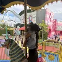 Pualice 木本のプロフィール画像