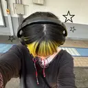 成田 瑠衣のプロフィール画像