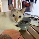 x8em _kのプロフィール画像