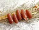 nakayama satokoのプロフィール画像