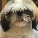 絶対カワイイ保証💕 カワノ　チヒロのプロフィール画像