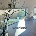 森川 歩のプロフィール画像