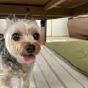 【Alice】 澁澤のプロフィール画像