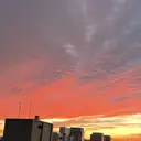 GAO ZHENYUのプロフィール画像