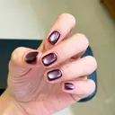 チョウ 🦋のプロフィール画像