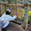 イワイ アカネのプロフィール画像
