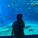 ✨うる艶髪✨小林 佳祐/Aimeeのプロフィール画像