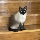 曽我 輝のプロフィール画像
