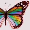 BANSA ཐིཋྀのプロフィール画像