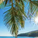 清谷 あすかのプロフィール画像