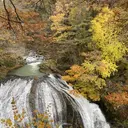 武田 栞歩のプロフィール画像