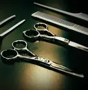 松中 祐天寺/ハイトーンのプロフィール画像