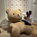 藪木 七海のプロフィール画像