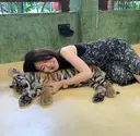 kaneku hironoのプロフィール画像