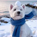 Una 🧸のプロフィール画像