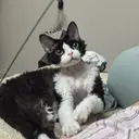 サ ユリのプロフィール画像