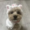 栗林 由依のプロフィール画像