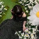 まつ毛パーマモデル SHOKA🎀のプロフィール画像