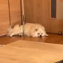 瀧澤 光枝のプロフィール画像