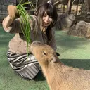 SNSモデル募集/ ショート/ボブ/のプロフィール画像