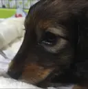 TRU りののプロフィール画像