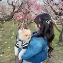 ･:*+. KANAMI🤎🎀のプロフィール画像