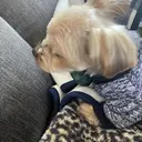 小倉 愛依のプロフィール画像